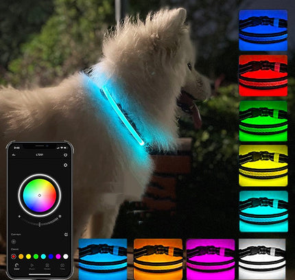 Glänzendes Hundehalsband mit USB-Ladefunktion