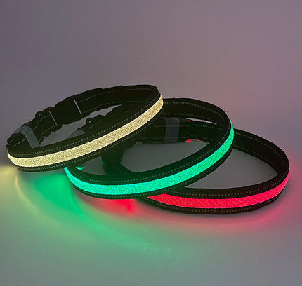 Glänzendes Hundehalsband mit USB-Ladefunktion