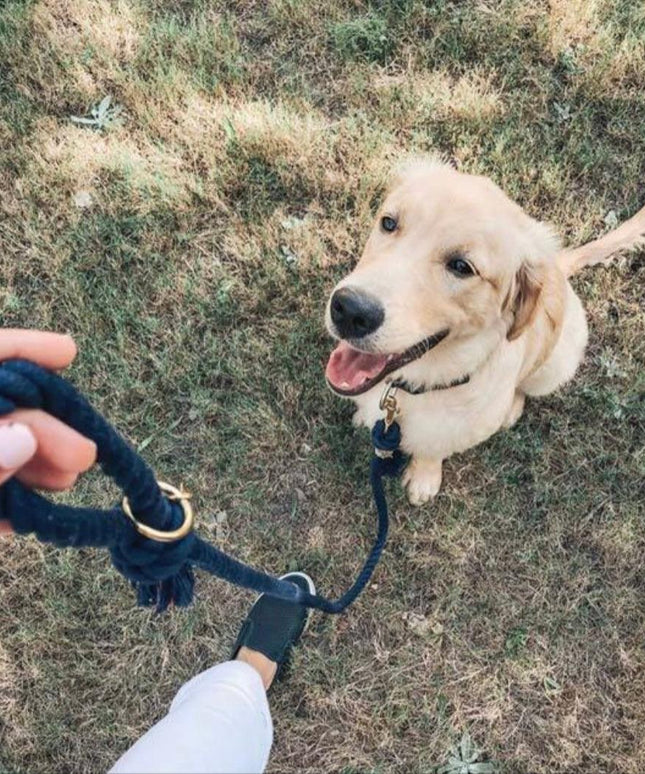 ROPE LEASH - OMBRE OLIVE-2