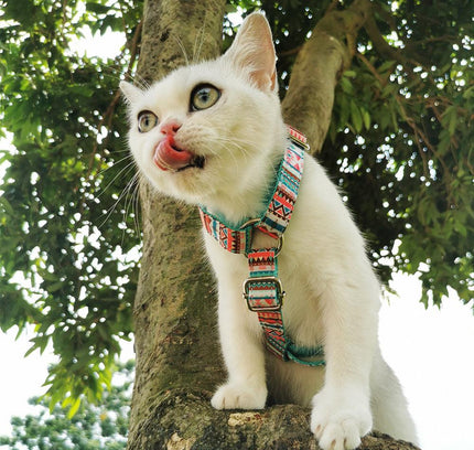 STEP IN HARNESS - TROPICAL-4