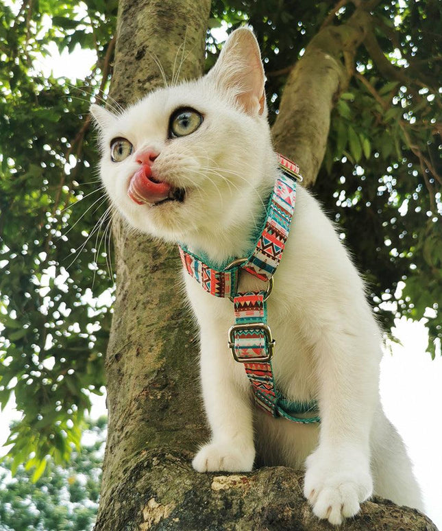 STEP IN HARNESS - TROPICAL-4