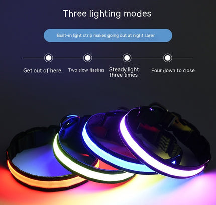 LED Nylon Angelschnur Leuchthalsband USB Aufladen