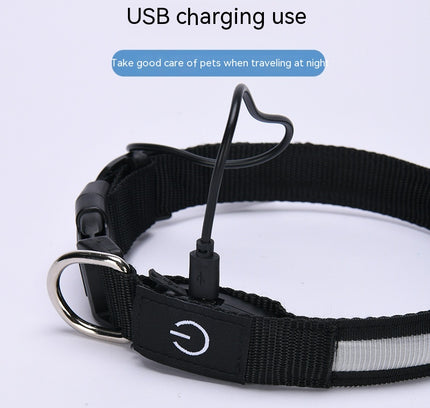 LED Nylon Angelschnur Leuchthalsband USB Aufladen