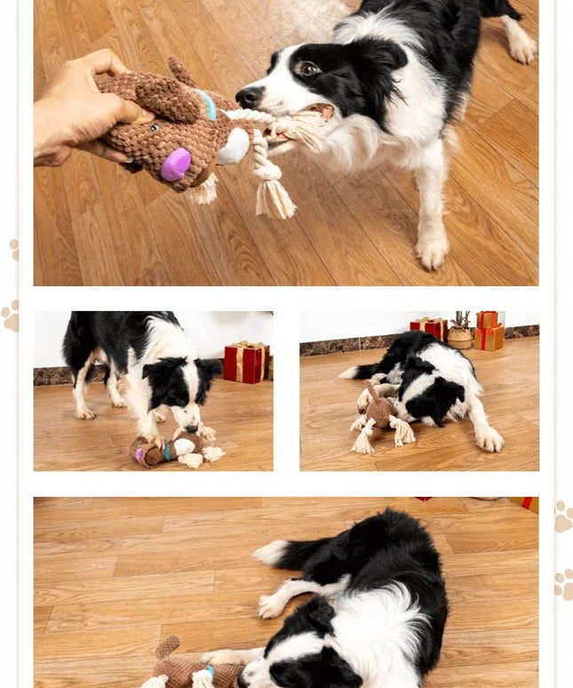 Dog en peluche jouets vocalisation corde en coton résistante aux morsures dents de chien broyage interactif formation chiot jouet fournitures pour animaux