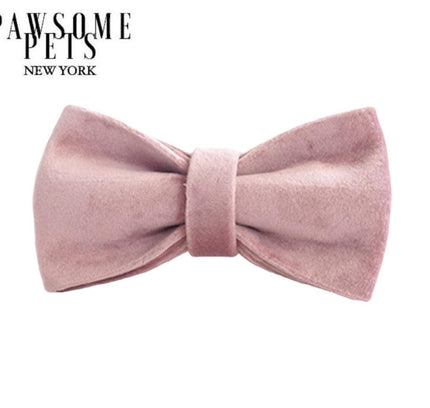 BOWTIE - FLORENCE-0