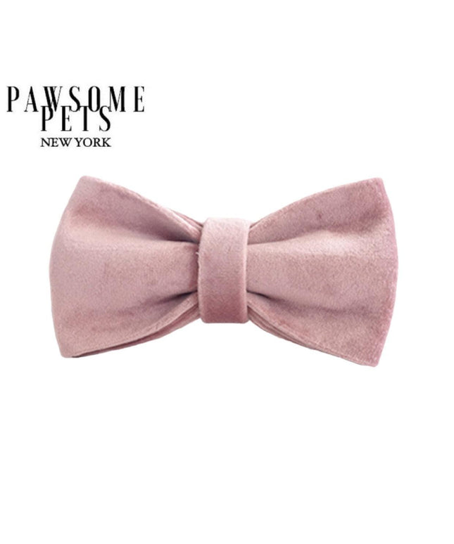 BOWTIE - FLORENCE-0