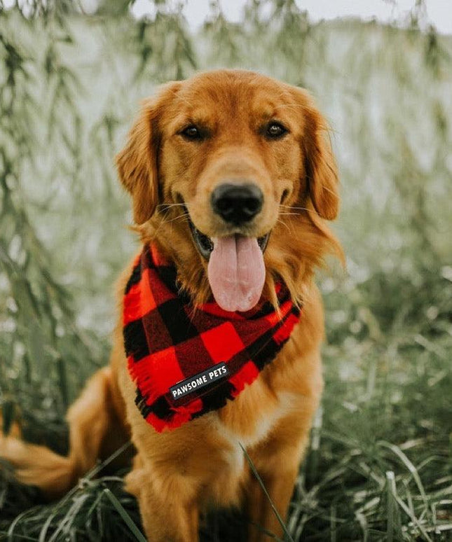 BANDANA - FINLEY-1