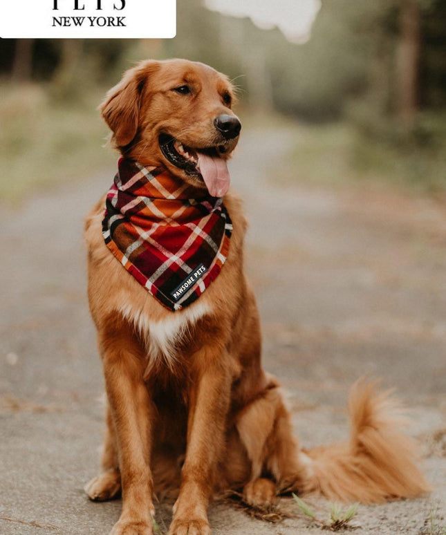 BANDANA - HARVEST-2