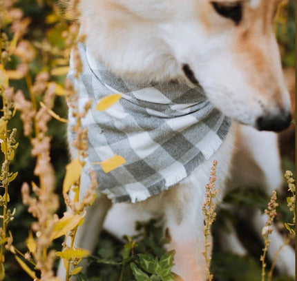 BANDANA - SAWYER-1