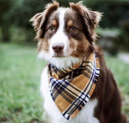 BANDANA - BEAU-1