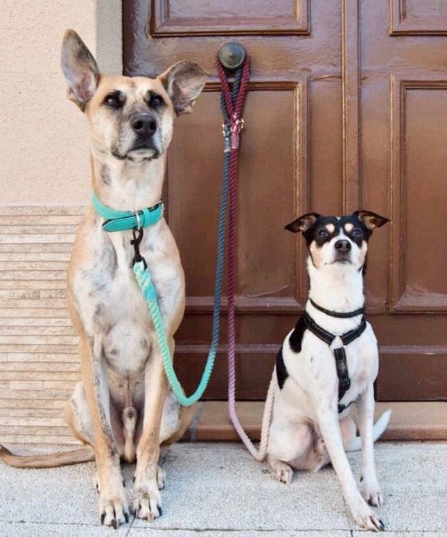 ROPE LEASH - ANNA-1