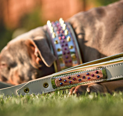 The Candy Leash-1