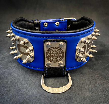 The ABKC Collar-2