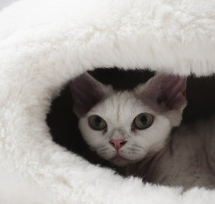 Nest Natural Sheepskin Pet Bed - White-1
