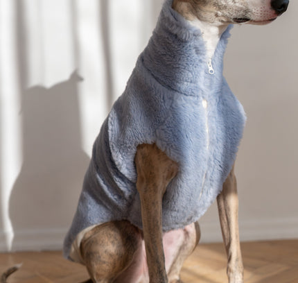 Woolen Dog Vest - Blue-0