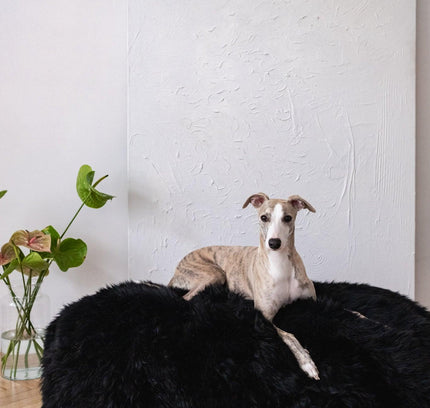 Oval Natural Sheepskin Pet Bed - Black-3