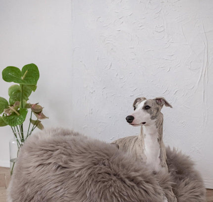 Oval Natural Sheepskin Pet Bed - Greige-0