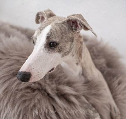 Oval Natural Sheepskin Pet Bed - Greige-3
