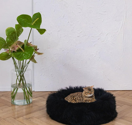 Round Natural Sheepskin Pet Bed - Black-0
