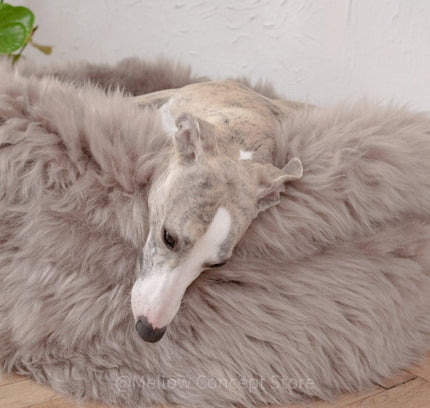 Oval Natural Sheepskin Pet Bed - Greige-4