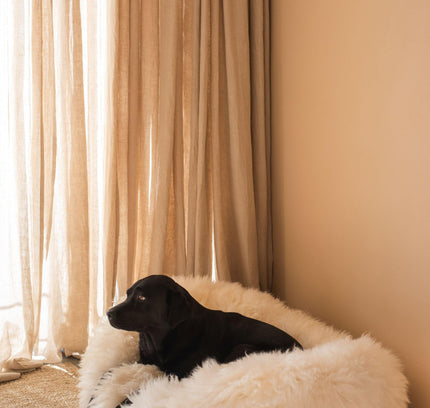 Oval Natural Sheepskin Pet Bed - White-4