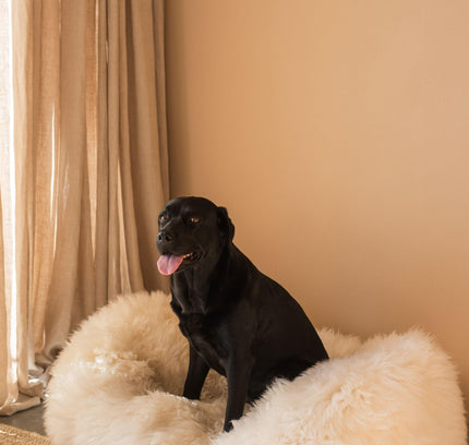 Oval Natural Sheepskin Pet Bed - White-3