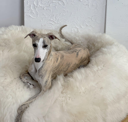 Oval Natural Sheepskin Pet Bed - White-2