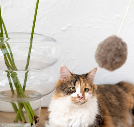 Natural Woolen Cat Toy: Ball-0