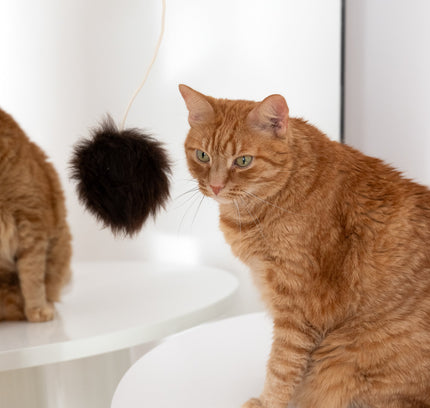 Natural Woolen Cat Toy: Ball-3