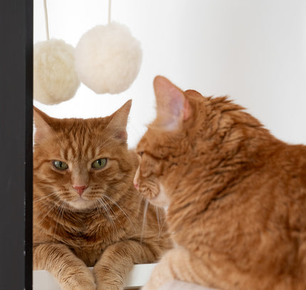Natural Woolen Cat Toy: Ball-1