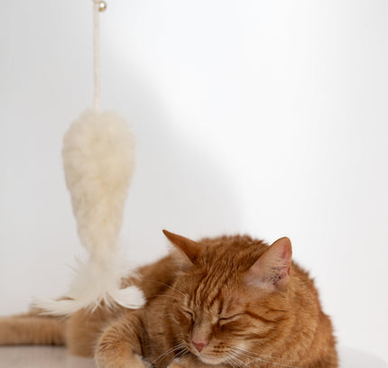 Natural Sheepskin Cat Toy: Fish-2