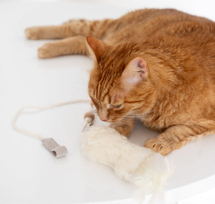 Natural Sheepskin Cat Toy: Fish-3