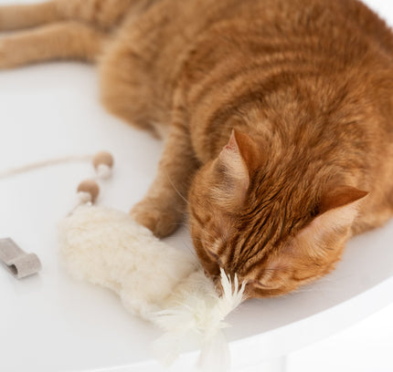 Natural Sheepskin Cat Toy: Fish-4