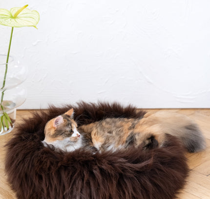 Round Natural Sheepskin Pet Bed - Brown-2