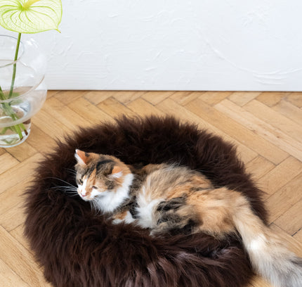 Round Natural Sheepskin Pet Bed - Brown-4