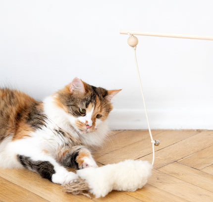 Natural Sheepskin Cat Toy: Fish-1