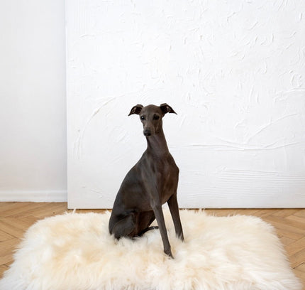 Square or Rectangular Natural Sheepskin Pet Mat - White-1