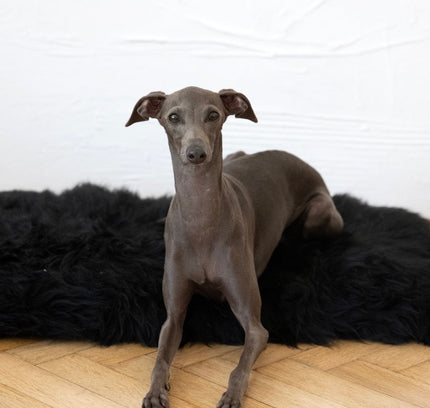 Square or Rectangular Natural Sheepskin Pet Mat - Black-0