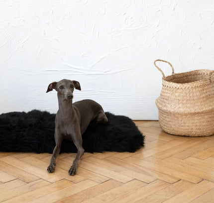 Square or Rectangular Natural Sheepskin Pet Mat - Black-1