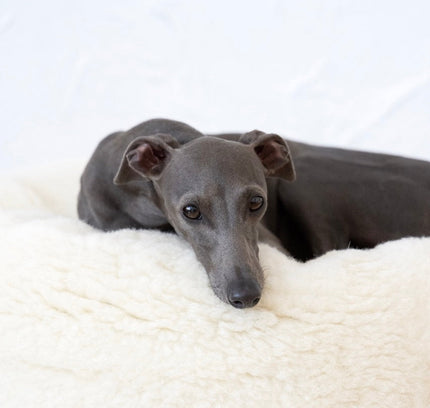 Oval Natural Wool Pet Bed - White-1