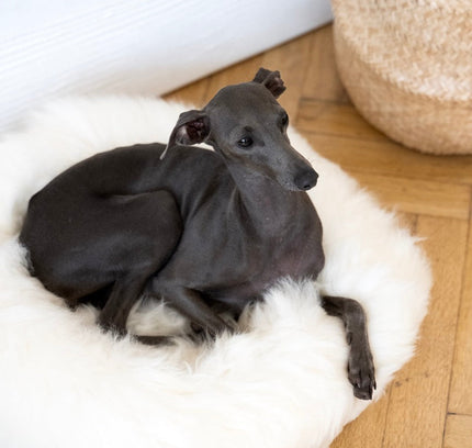Round Natural Sheepskin Pet Bed - White-3