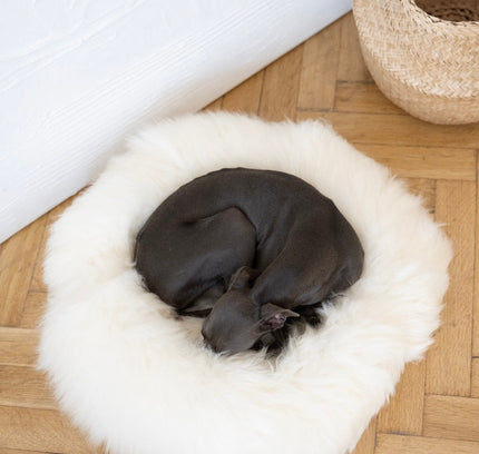 Round Natural Sheepskin Pet Bed - White-1
