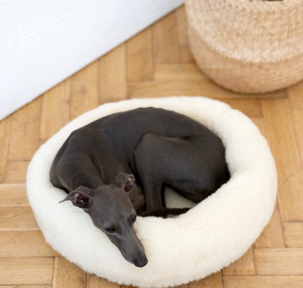 Round Natural Wool Pet Bed - White-2
