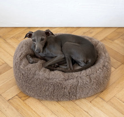 Oval Natural Wool Pet Bed - Beige-1