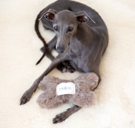 Natural Woolen Dog Toy - Bone - Charcoal-2