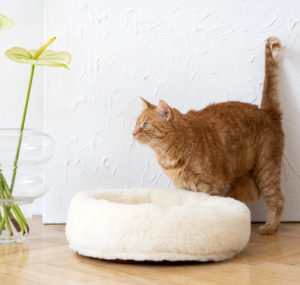Round Natural Wool Pet Bed - White-3