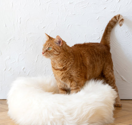 Round Natural Sheepskin Pet Bed - White-4