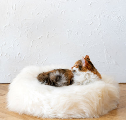 Round Natural Sheepskin Pet Bed - White-2