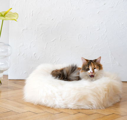 Round Natural Sheepskin Pet Bed - White-0