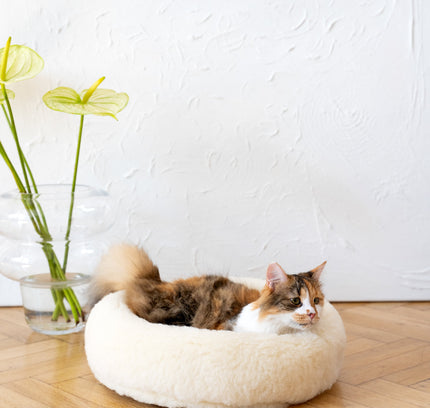 Round Natural Wool Pet Bed - White-1